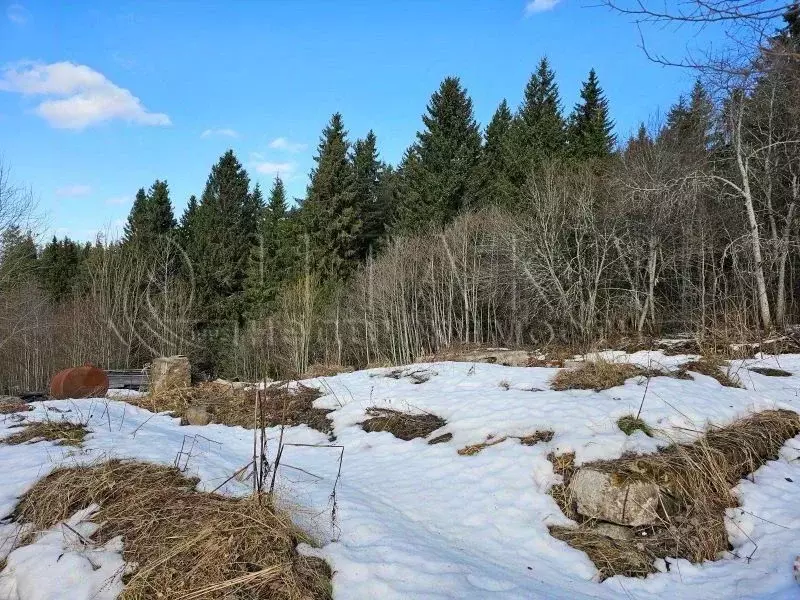 Участок в Ленинградская область, Подпорожье пос. Варбеги, ул. 1 Мая, ... - Фото 1