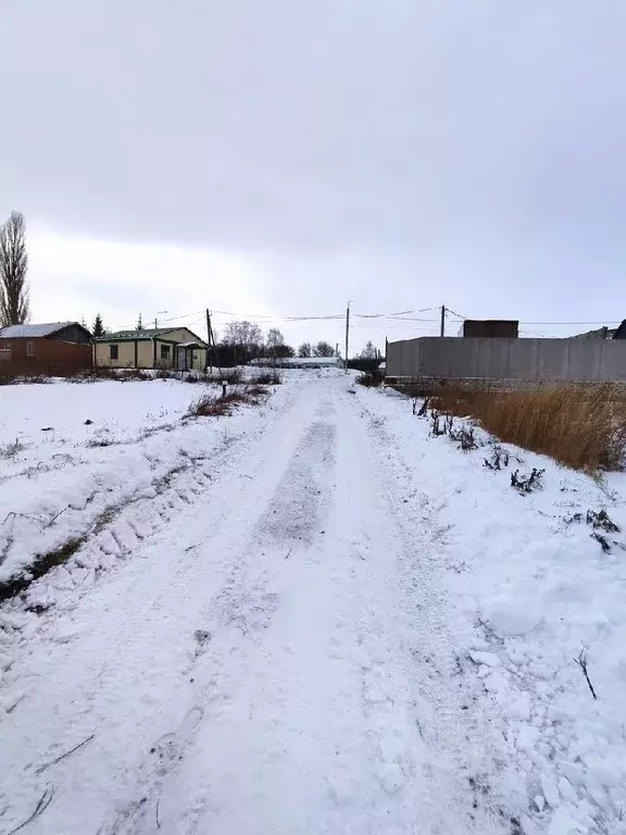 Участок в Воронежская область, Рамонский район, с. Русская Гвоздевка ... - Фото 1