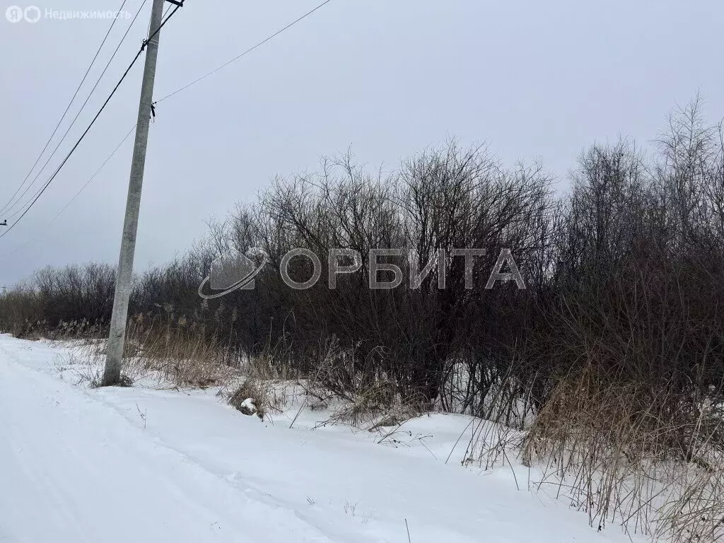 Участок в Тюмень, садовое товарищество Поле Чудес, Зелёная улица (9.8 ... - Фото 0