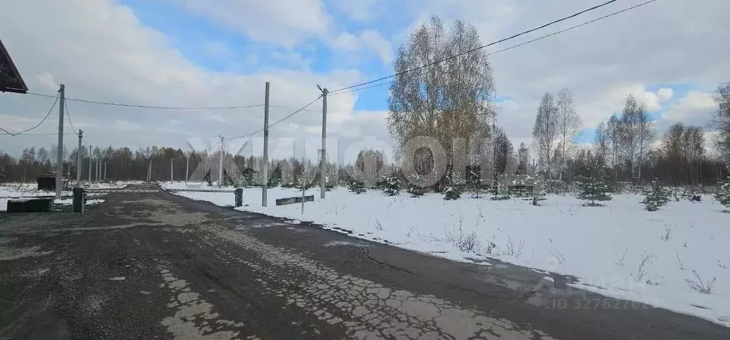 Участок в Новосибирская область, Новосибирский район, Барышевский ... - Фото 2