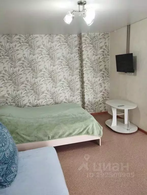 1-к кв. Алтай, Горно-Алтайск ул. Ленина, 6 (34.0 м) - Фото 2