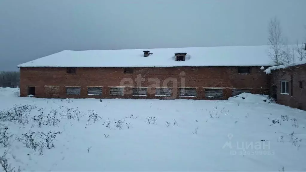 Склад в Новосибирская область, Ордынский район, пос. Чернаково ул. ... - Фото 1
