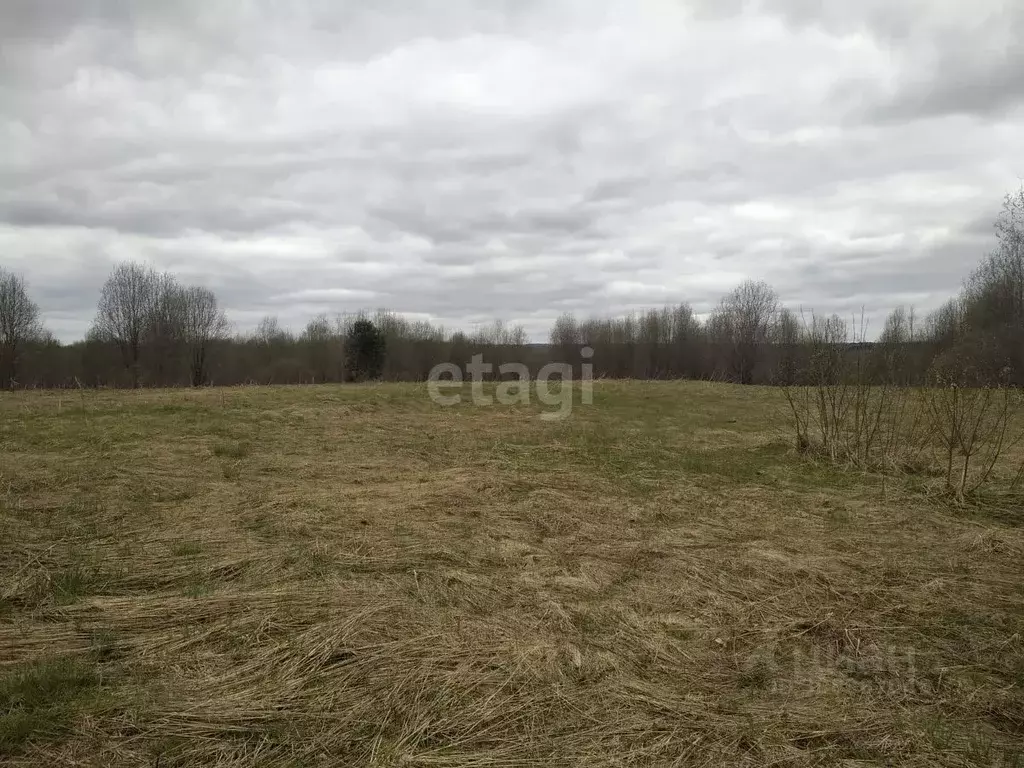 Участок в Новгородская область, с. Мошенское ул. Советская (10.0 сот.) - Фото 0