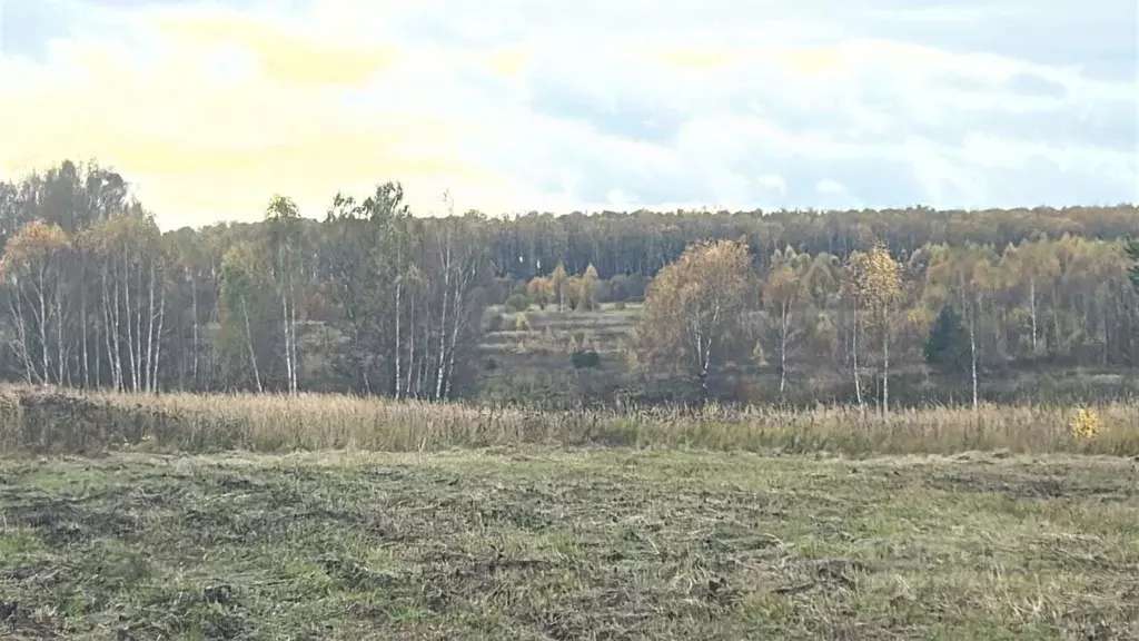 Участок в Московская область, Ступино городской округ, д. Акатово ул. ... - Фото 1