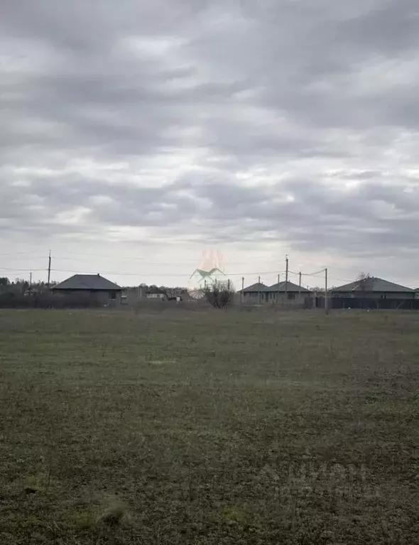 Участок в Саратовская область, Энгельсский район, Красноярское ... - Фото 2