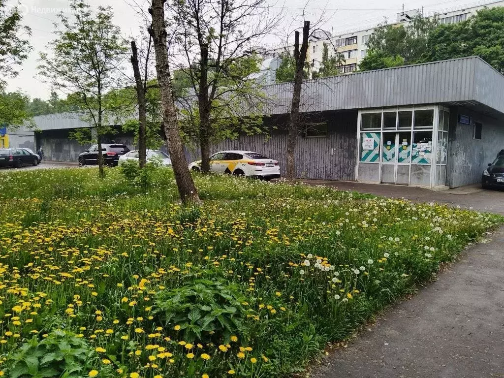 Помещение свободного назначения (280 м) - Фото 0