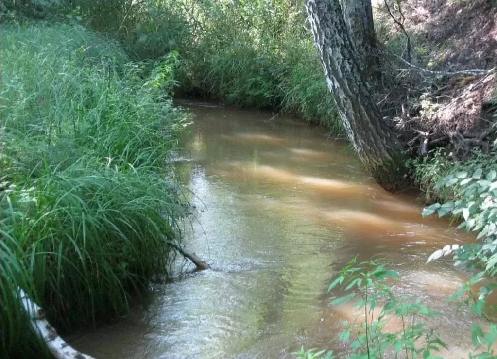 Участок в Саратовская область, Новобурасское муниципальное ... - Фото 2