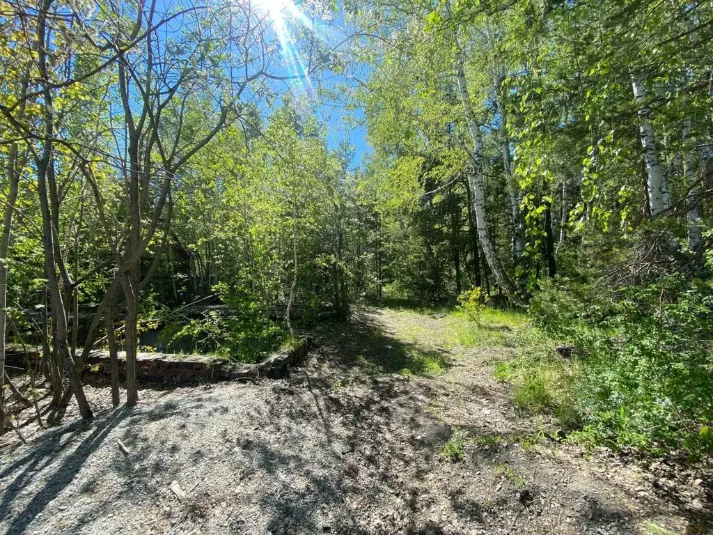 Участок в Свердловская область, Среднеуральск муниципальный округ, д. ... - Фото 2