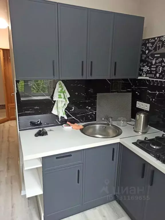 2-к кв. Санкт-Петербург Дачный просп., 25К1 (43.0 м) - Фото 1