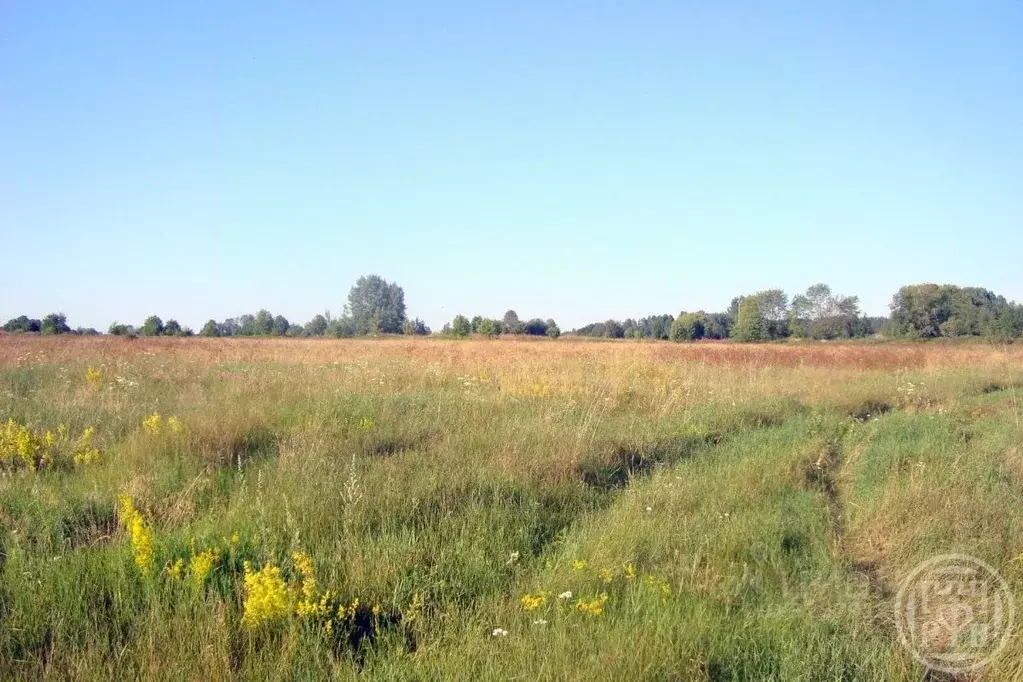 Участок в Ленинградская область, Выборгский район, Красносельское ... - Фото 1