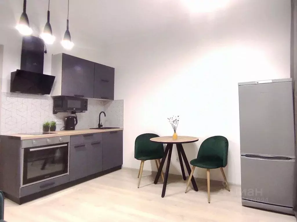 Студия Санкт-Петербург аллея Арцеуловская, 9 (24.0 м) - Фото 0