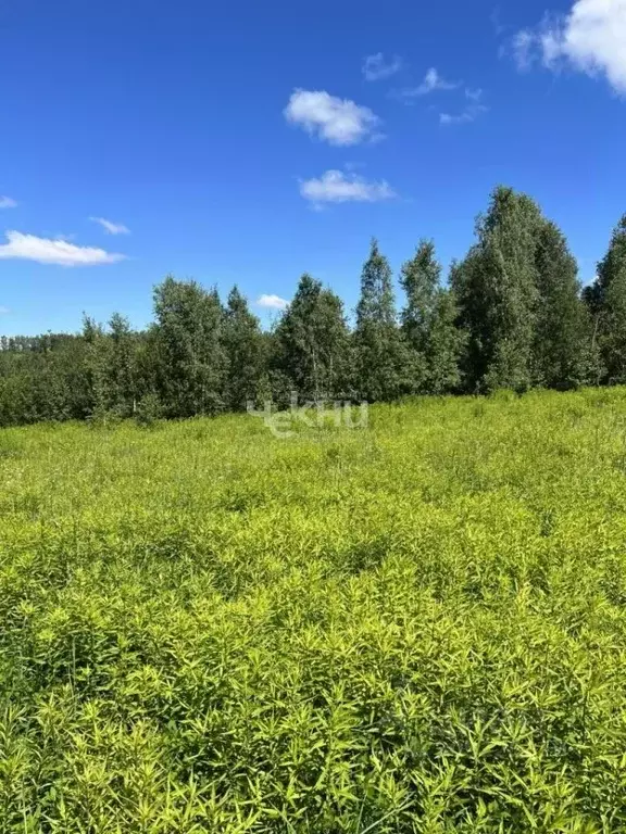 Участок в Нижегородская область, Кстовский муниципальный округ, д. ... - Фото 1