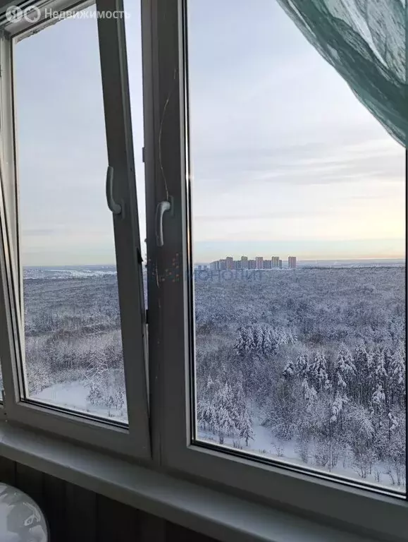 1-комнатная квартира: Нижний Новгород, улица Академика Сахарова, 117 ... - Фото 2