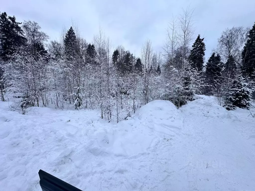 Участок в Московская область, Солнечногорск городской округ, Яблочный ... - Фото 0