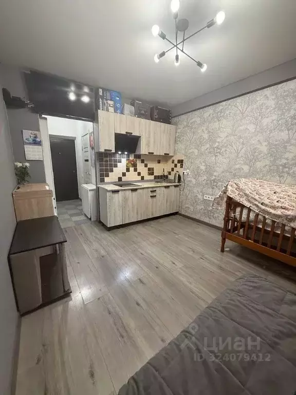 Студия Краснодарский край, Краснодар Московская ул., 152 (24.0 м) - Фото 1