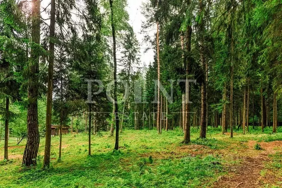 Участок в Московская область, Истра муниципальный округ, д. Чесноково, ... - Фото 1