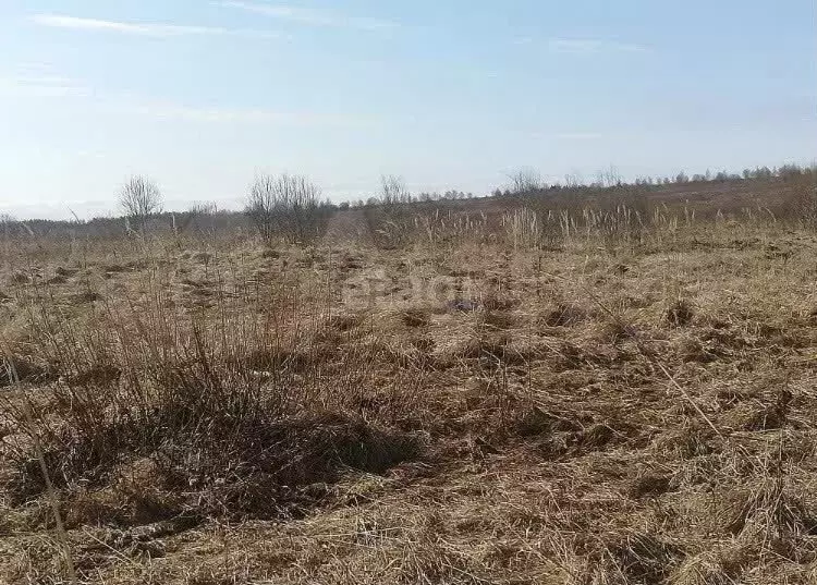 Участок 6 сот. (СНТ, ДНП) - Фото 0