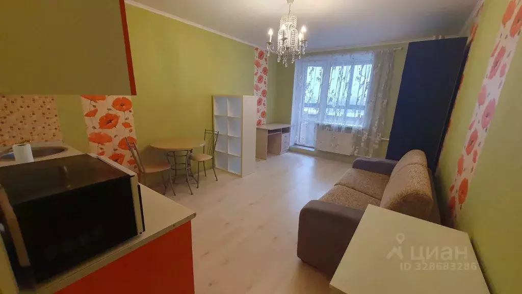 Студия Санкт-Петербург пос. Парголово, ул. Михаила Дудина, 10 (30.0 м) - Фото 1