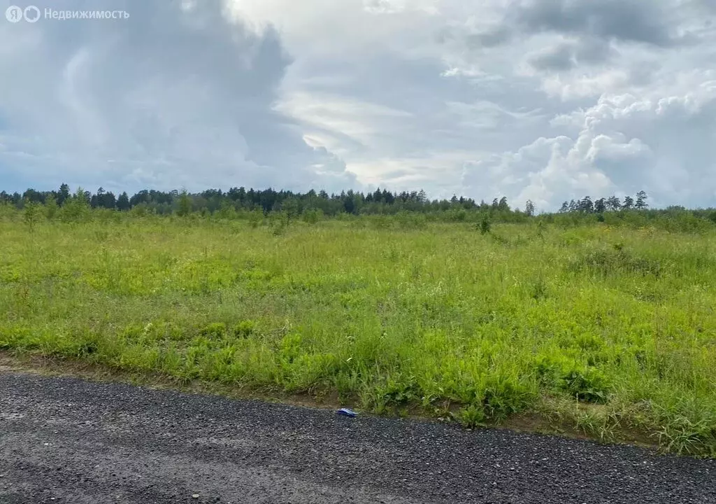 Участок в деревня Брёхово, микрорайон Большое Брёхово, 8 (6.6 м) - Фото 2