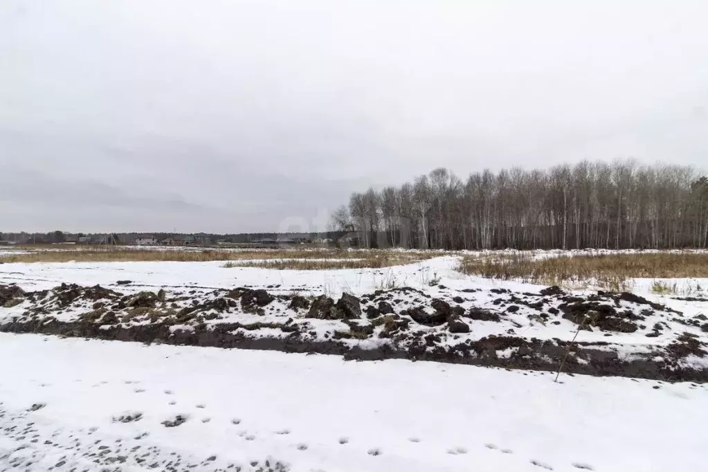 Участок в Тюменская область, Тюменский район, д. Посохова  (6.4 сот.) - Фото 0