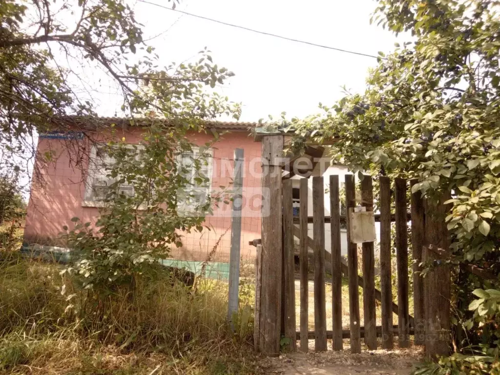 Дом в Липецкая область, Липецкий муниципальный округ, с. Боринское ул. ... - Фото 1