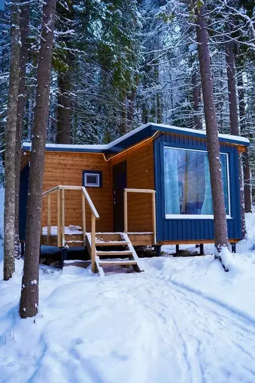 Дом в Карелия, Пряжа пгт ул. Сосновый Бор, 4 (25 м) - Фото 1