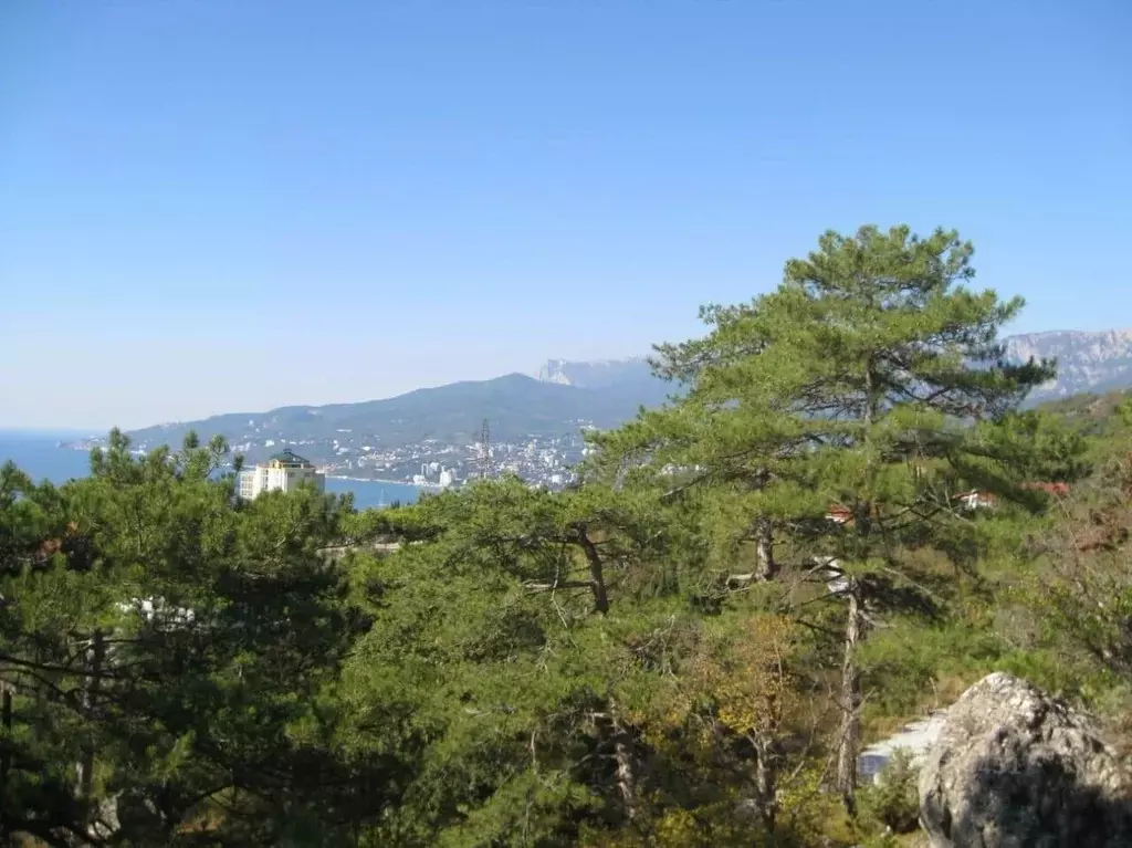 Участок в Крым, Ялта муниципальный округ, Восход пгт ул. Наташинская, ... - Фото 2