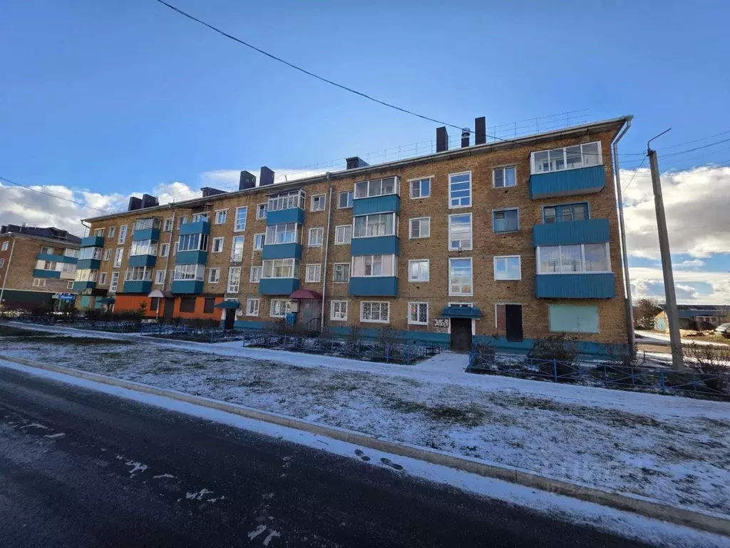 2-к кв. Иркутская область, Зима ул. Новокшонова, 4 (29.8 м) - Фото 1