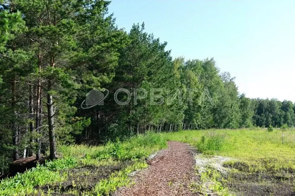 Участок в Тюменская область, Тюменский район, с. Кулига  (6.8 сот.) - Фото 1