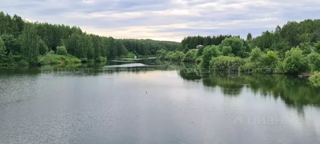 Участок в Татарстан, Арский район, Янга-Салское с/пос, д. Каенсар  ... - Фото 2