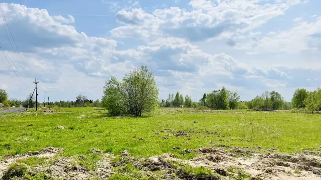 Участок в Московская область, Дмитровский муниципальный округ, д. ... - Фото 1