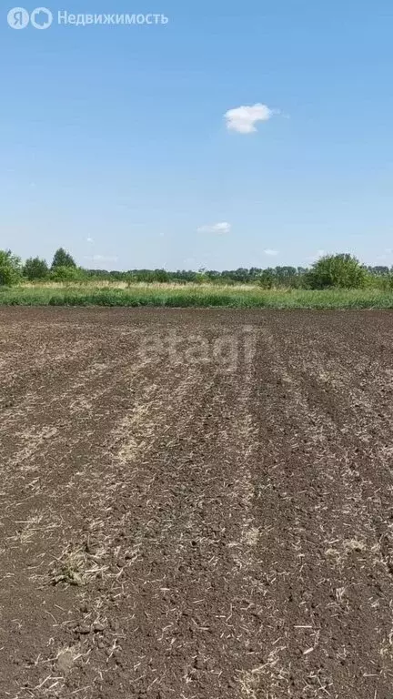 Участок в Белокуриха, Иртышская улица (660 м) - Фото 0