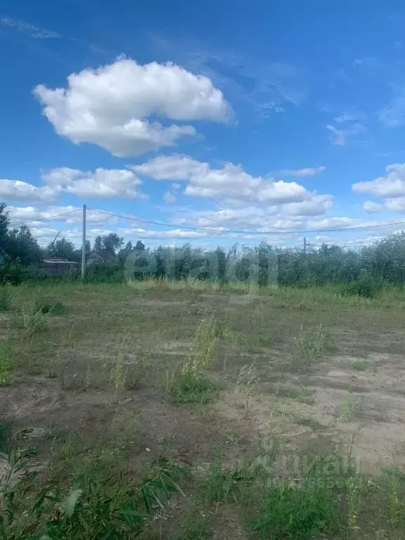 Участок в Тюменская область, Тюмень Мелиоратор садовое товарищество, ... - Фото 1