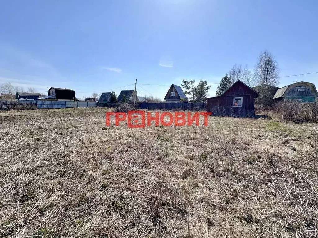 Участок в Новосибирская область, Искитимский район, Мичуринский ... - Фото 0