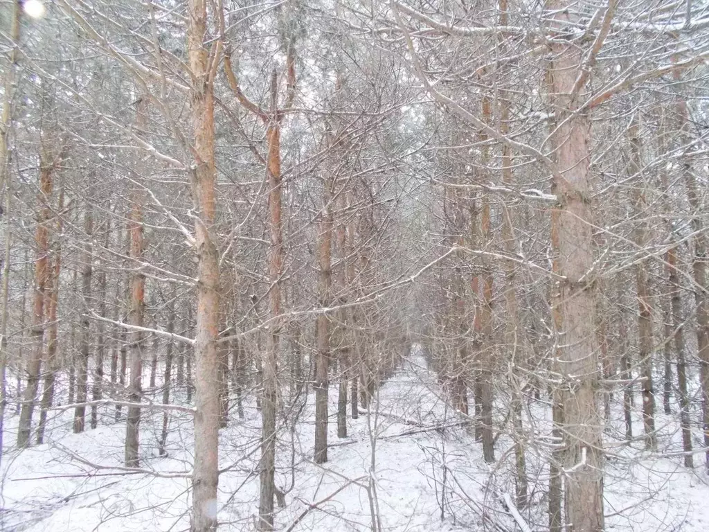 Участок в Саратовская область, Саратов ул. Валентиновская (10.0 сот.) - Фото 1