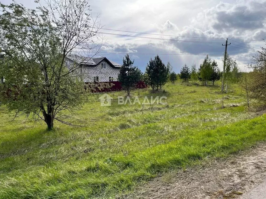 Участок в Нижегородская область, с. Безводное ул. Вячеслава Борисова ... - Фото 2