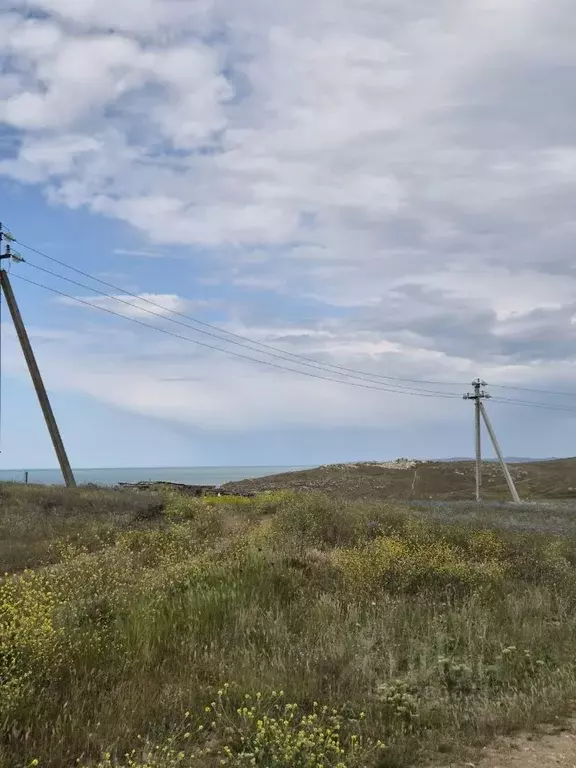 Участок в Крым, Ленинский район, с. Калиновка ул. Ленина (100.0 сот.) - Фото 1
