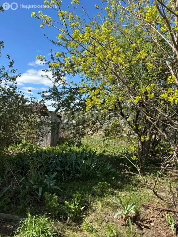 Участок в Томск, СТ Коммунальщик, Абрикосовая улица (4 м) - Фото 1