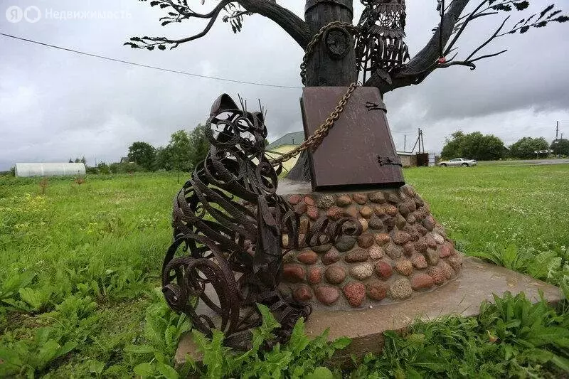 Участок в Волосовский район, Большеврудское сельское поселение, ... - Фото 1