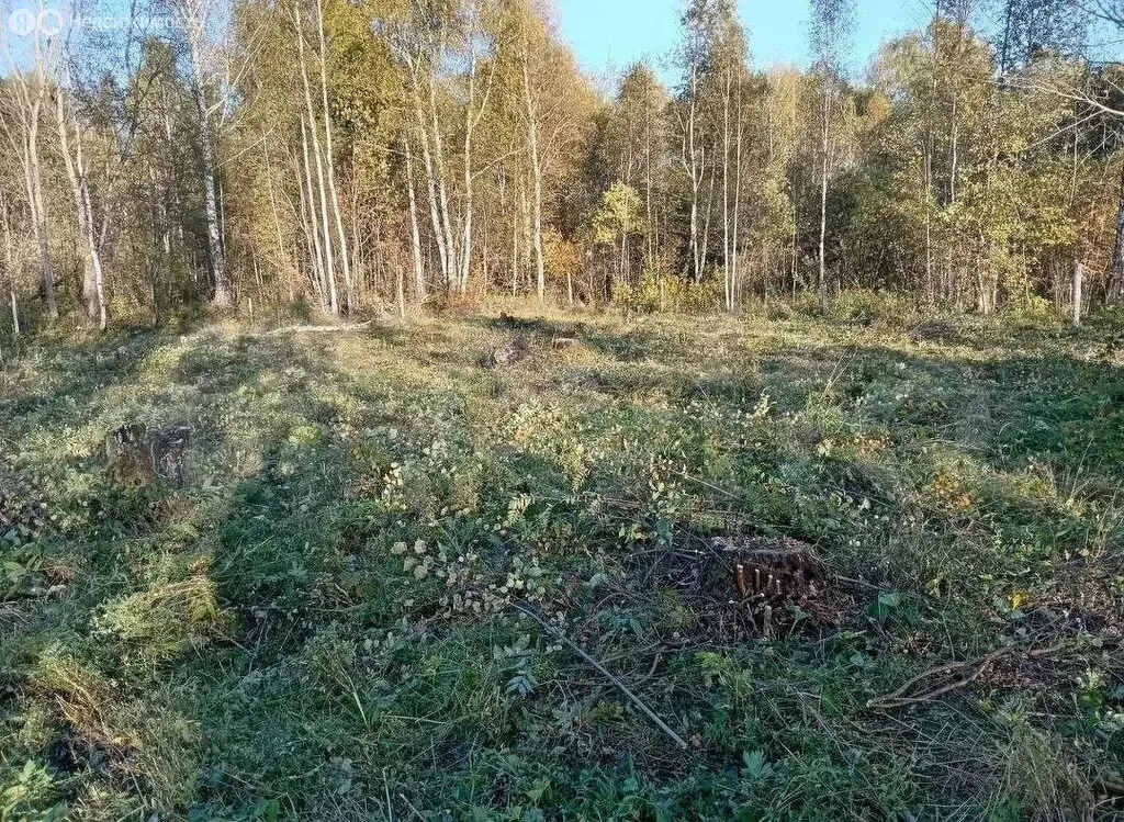 Участок в Тюменская область, Тобольский муниципальный округ, ... - Фото 2