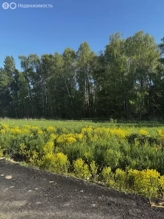 Участок в Московская область, городской округ Серпухов, деревня Пущино ... - Фото 1