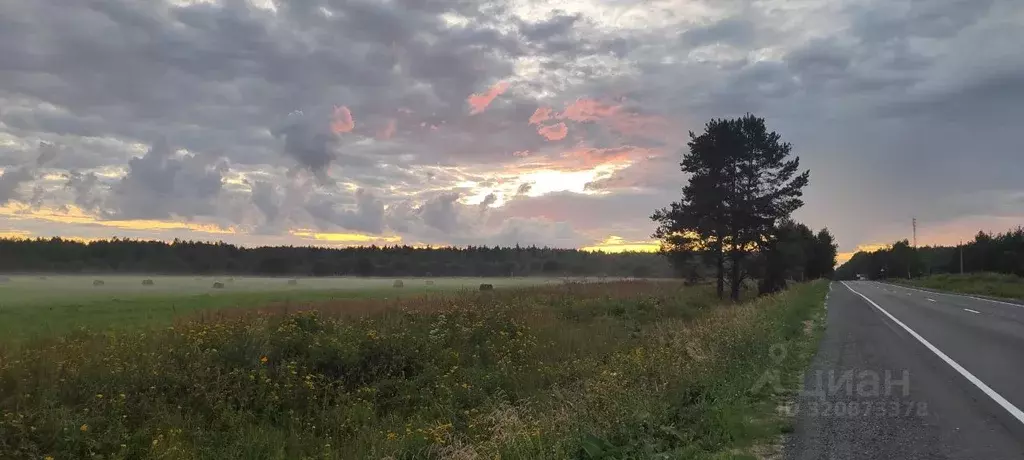 Участок в Владимирская область, Киржачский муниципальный округ, д. ... - Фото 0