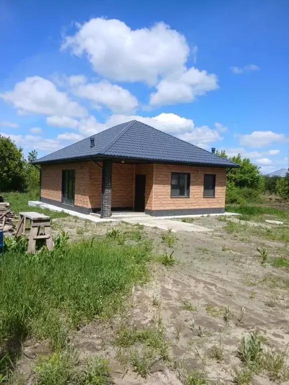 Дом в Алтайский край, Барнаул городской округ, пос. Черницк ул. ... - Фото 1