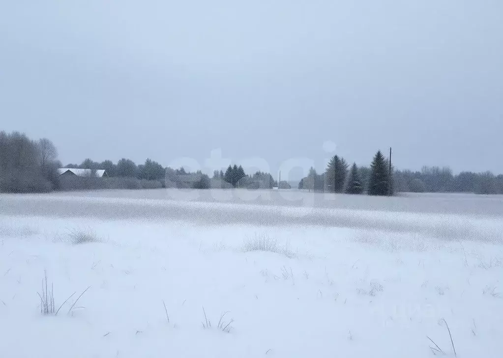 Участок в Тульская область, Заокский район, Демидовское с/пос, д. ... - Фото 1