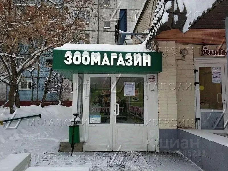 Помещение свободного назначения в Москва Мурановская ул., 6 (250 м) - Фото 2
