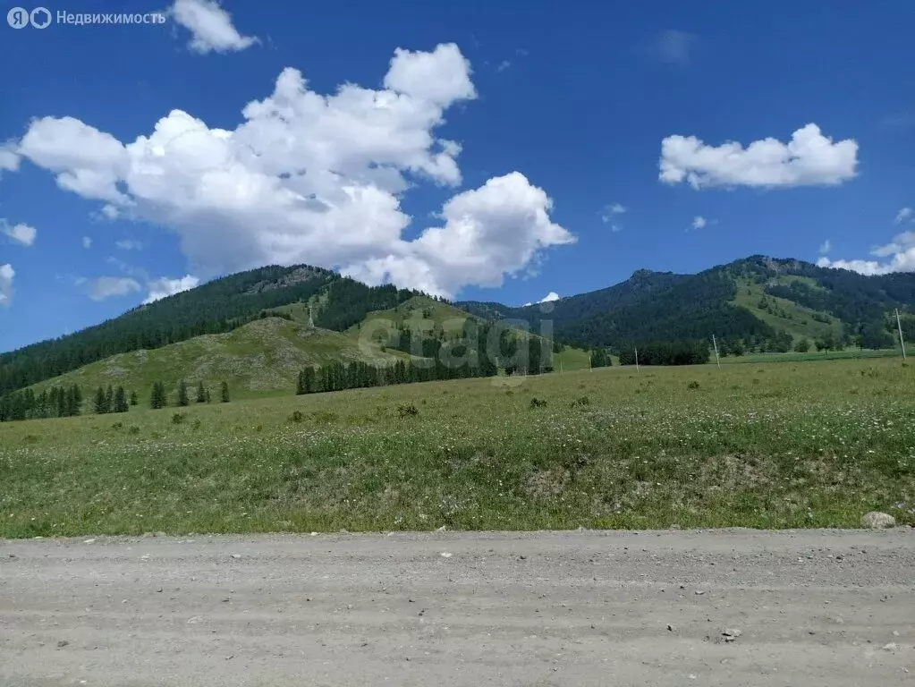 Участок в Шебалинский район, село Барагаш (4730 м) - Фото 0