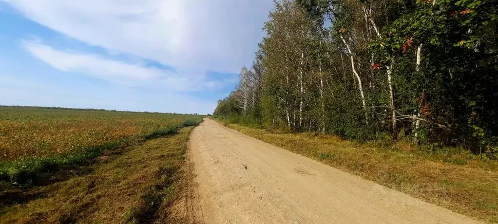 Амурская Область Купить Земельный Участок