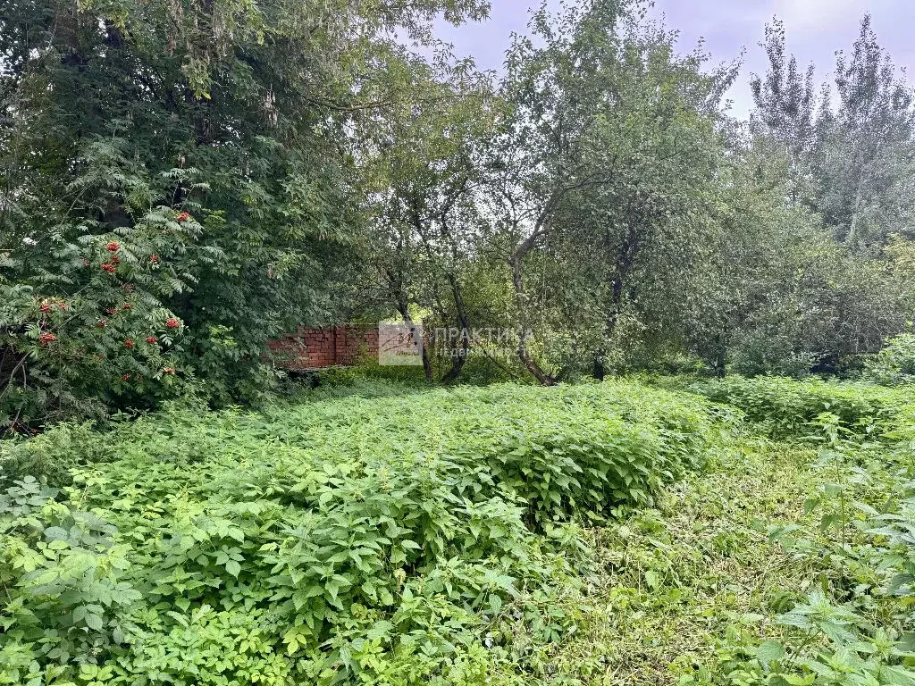 Продается участок в с. Немчиновка - Фото 1