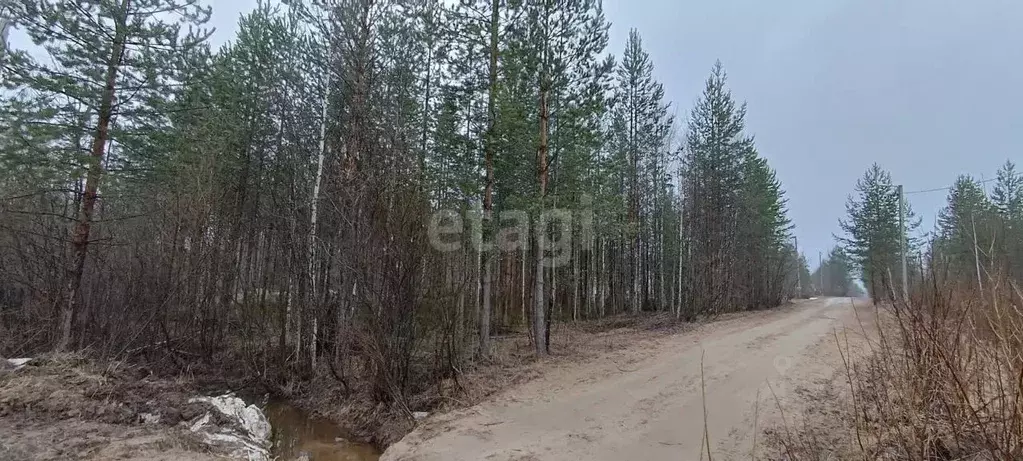 Участок в Коми, Сыктывкар городской округ, Верхняя Максаковка пгт ул. ... - Фото 0