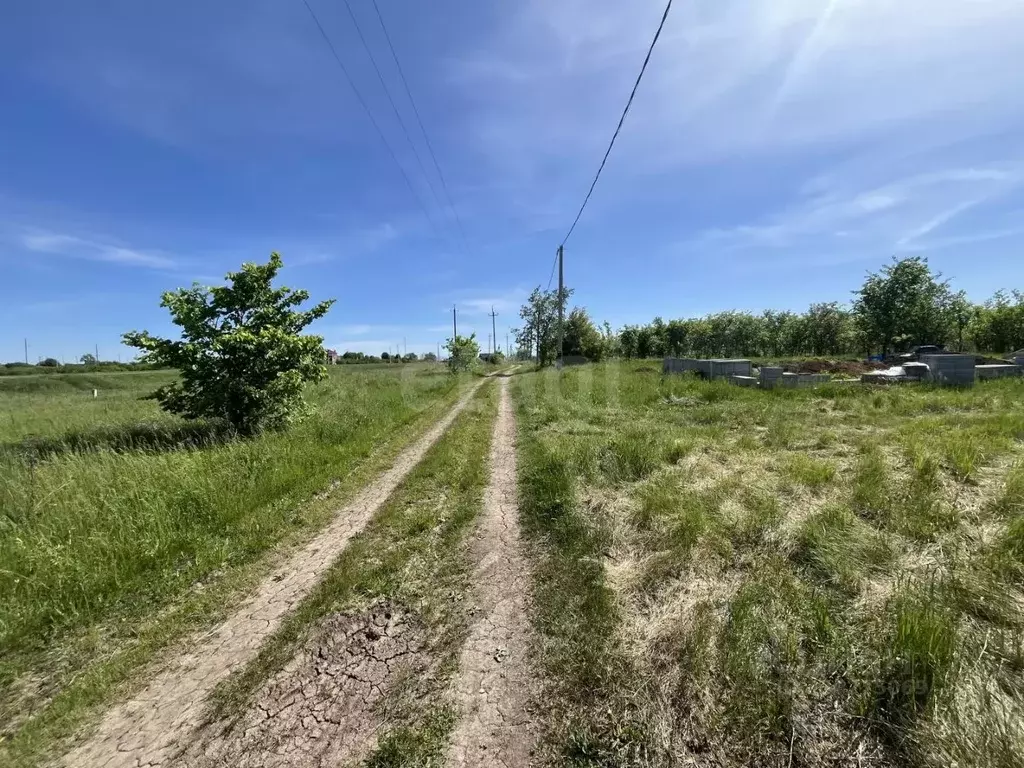 Участок в Белгородская область, Яковлевский муниципальный округ, с. ... - Фото 1